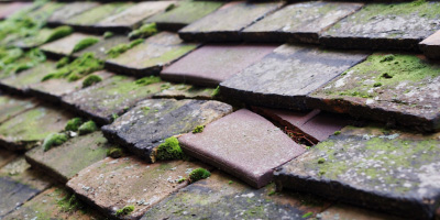 Tadmarton roof repair costs